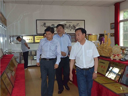 湘潭市委常委、市委政法委書(shū)記戴德清一行蒞臨【湘潭恒欣】